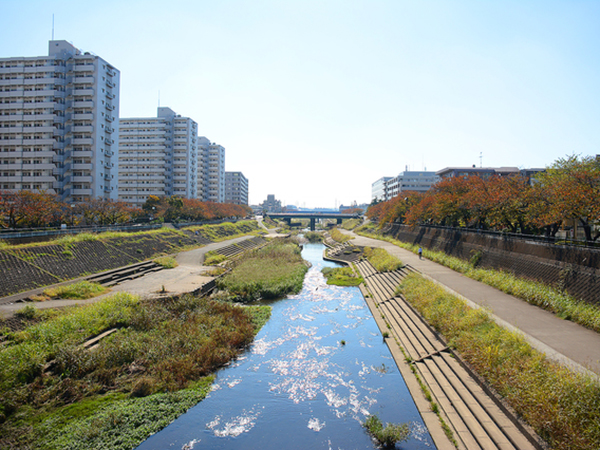 地域時活動虎の巻 番外編